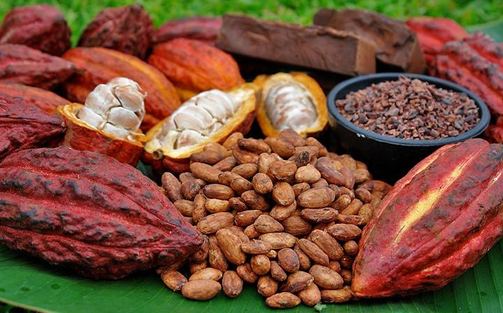 Cacao peru